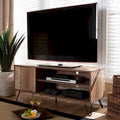 Iver Modern and Contemporary 1-Door TV Stand