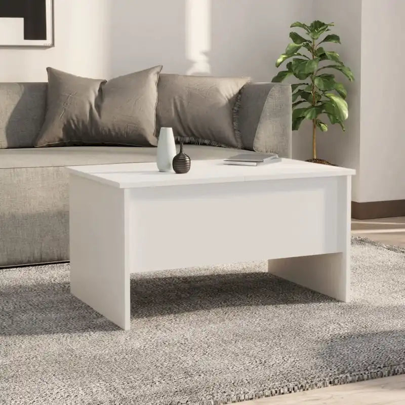 Couchtisch mit anhebbarem Oberteil und verstecktem Stauraum, Holzwerkstoff