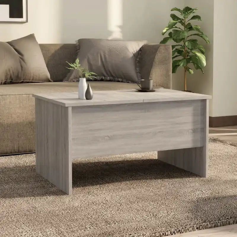 Couchtisch mit anhebbarem Oberteil und verstecktem Stauraum, Holzwerkstoff